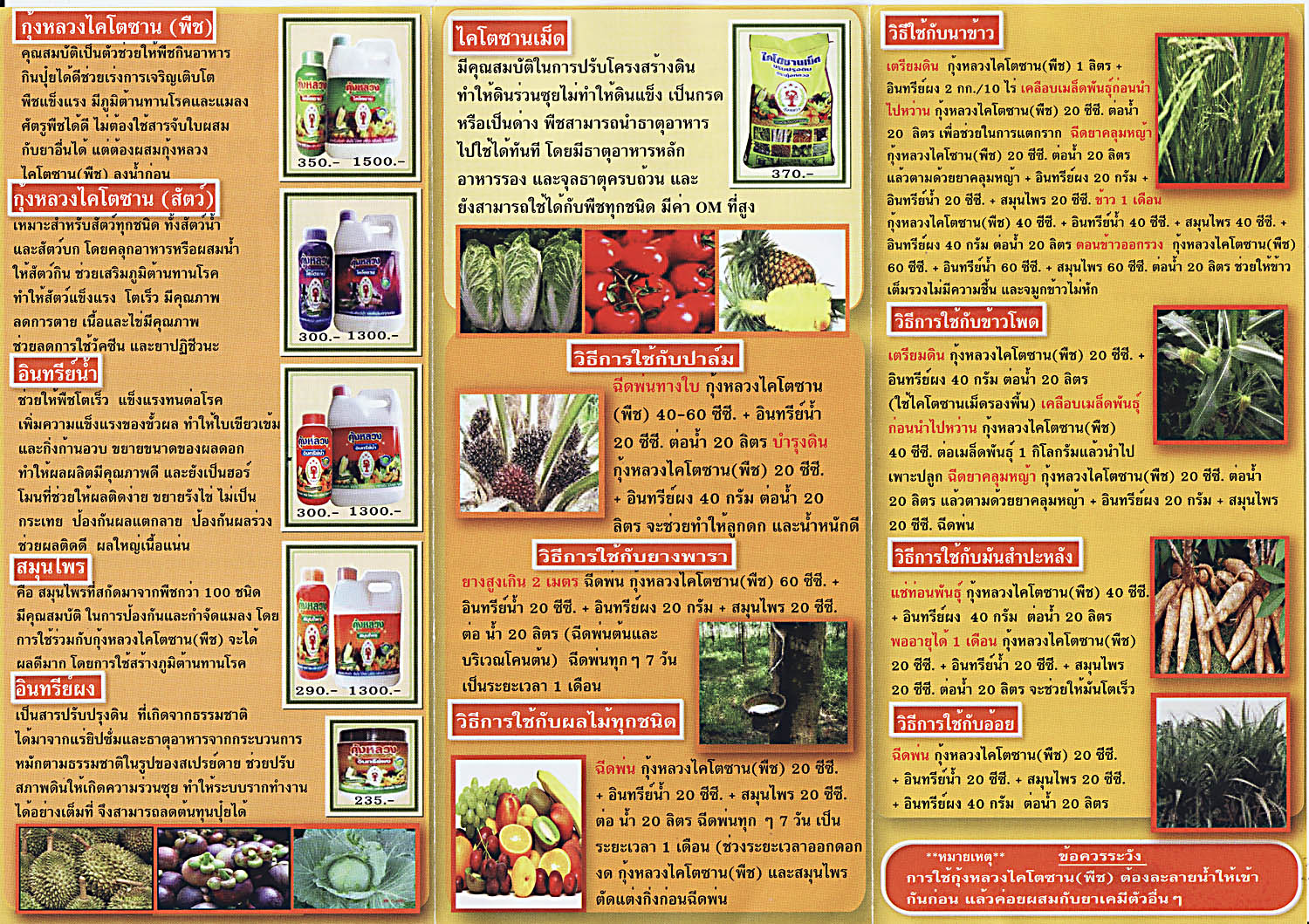 brochure